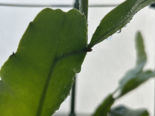 ������ĕK�v�ł���